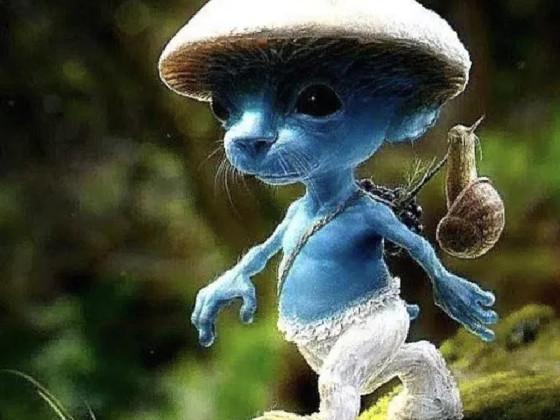 Smurf Cat  1 1 1