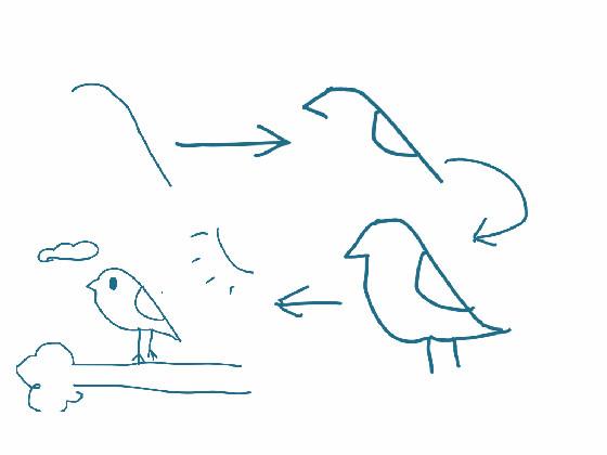 how to draw a budgie (bird)