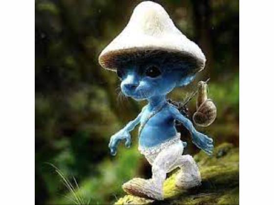 smurf cat song 2