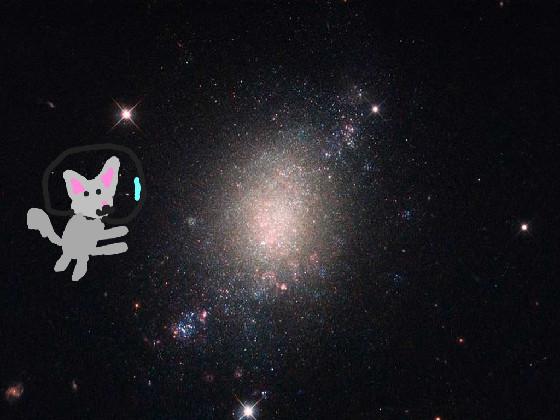 cat in space be like