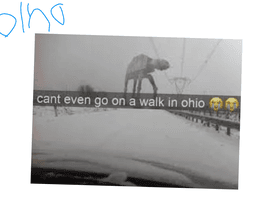 OHIO MEMES funny💀😂 1 1