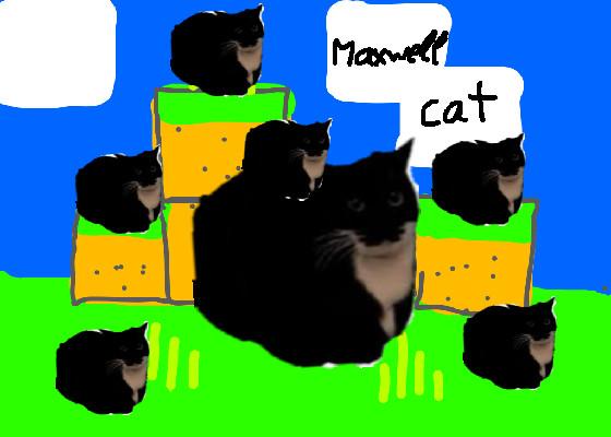 Maxwell cat sound