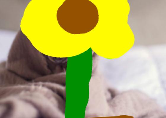 Sunflower Song 1 1 1