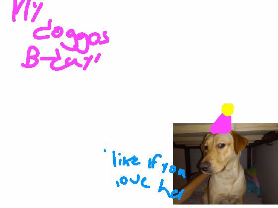 MY DOGGOS BDAY!!!!