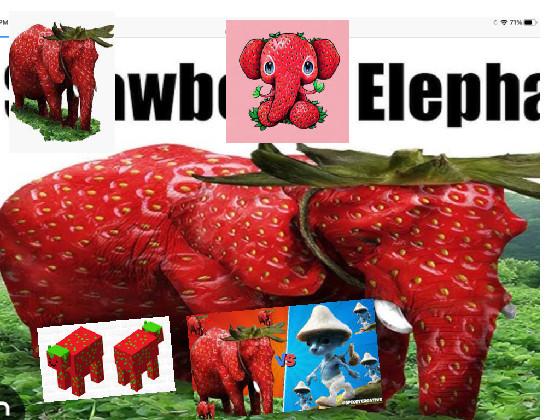 STRAWBERRY ELEPHANT!