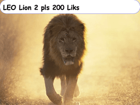 Leo Lion 2