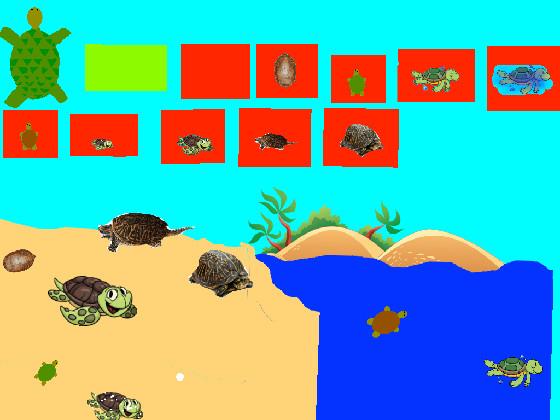 Turtle Clicker!  2