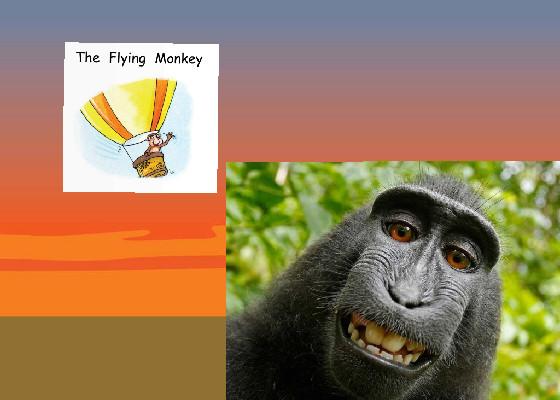 Monkey roasting gorilla