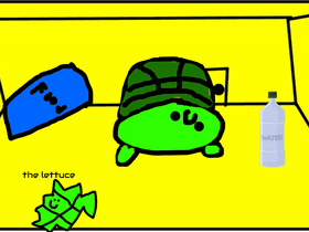 turtle pet