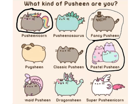 Adopt-A-Pusheen 2