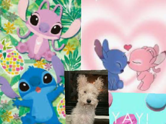 THE DOG AND STICH