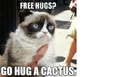 Free hugs meme