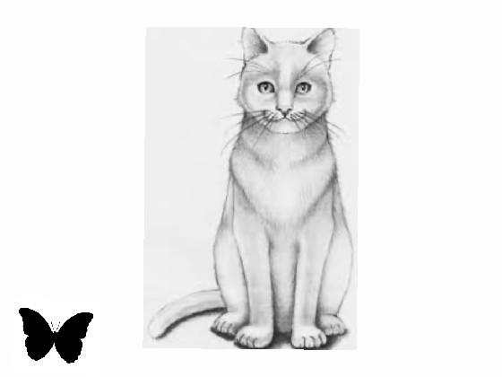 kitty drawing