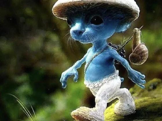 smurf cat full song