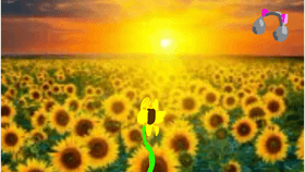 Sunflower Song