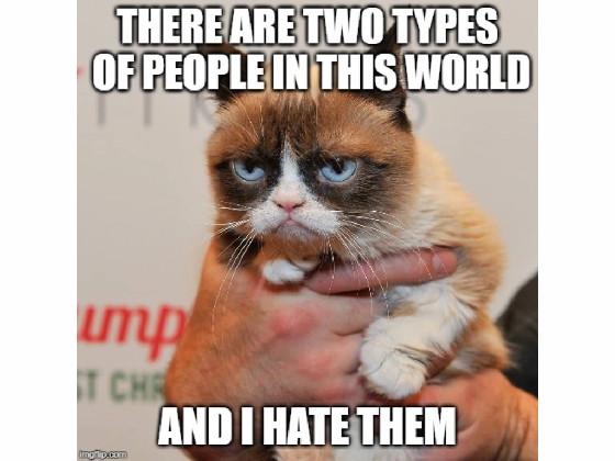 best grumpy cat memes ever