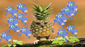 pineapple owl