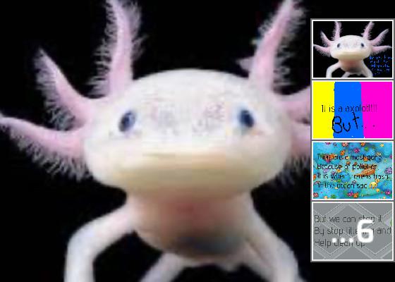 cute axolotl’s