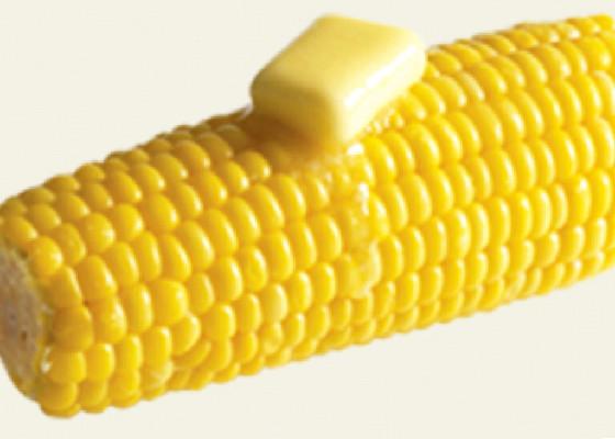iT’S cOrN song funny  1