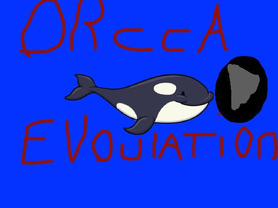 Orcca Evolation!