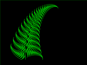 Fern