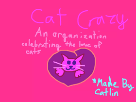 Cat Crazy