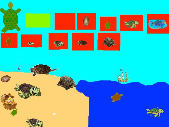 Turtle Clicker!  5