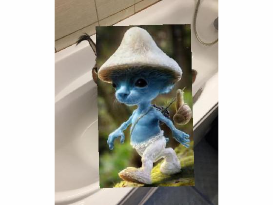 smurf cat 1