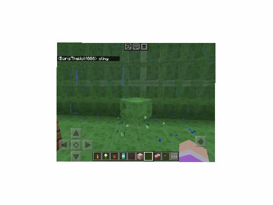 slimyentertainment in minecraft?