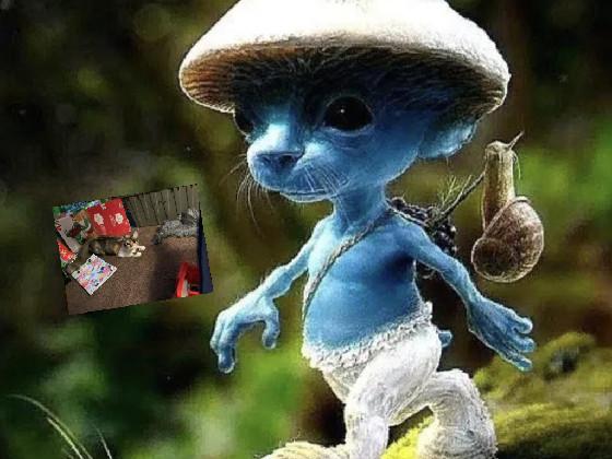 Smurf Cat  1 1 1