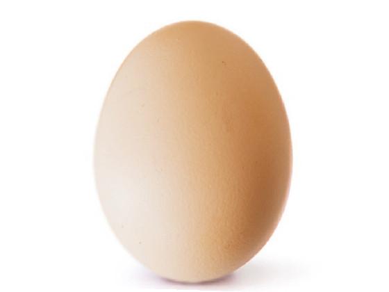 EGG