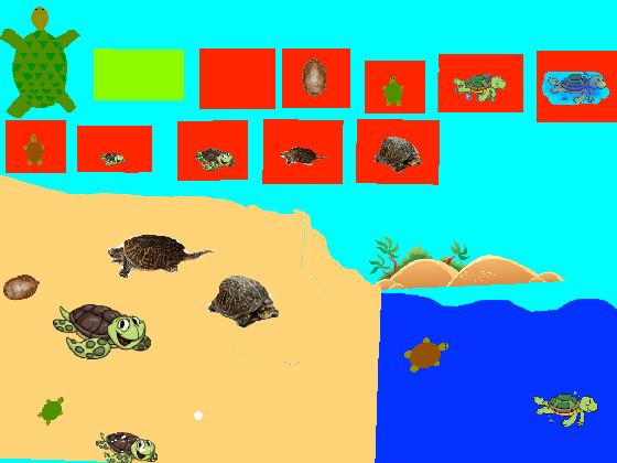 Turtle Clicker!  1 - copy - copy