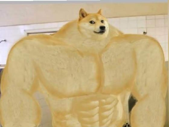 BUFF DOGE 1