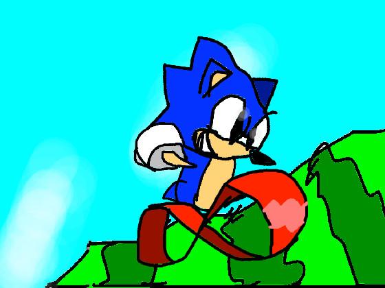 Sonic the hedgehog 