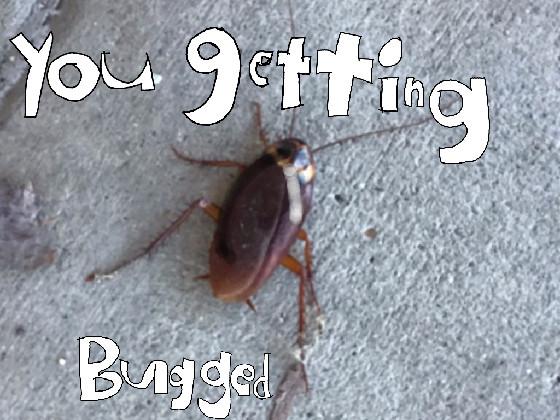 the bug meme 