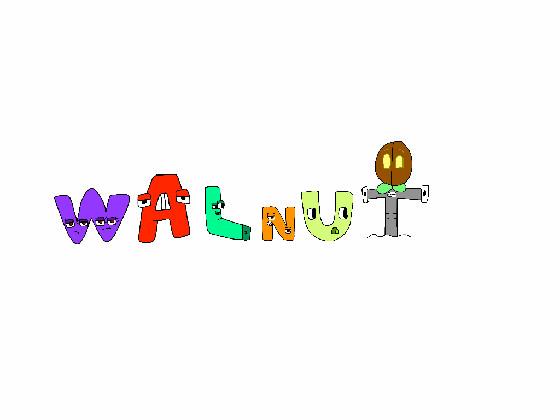 walnut