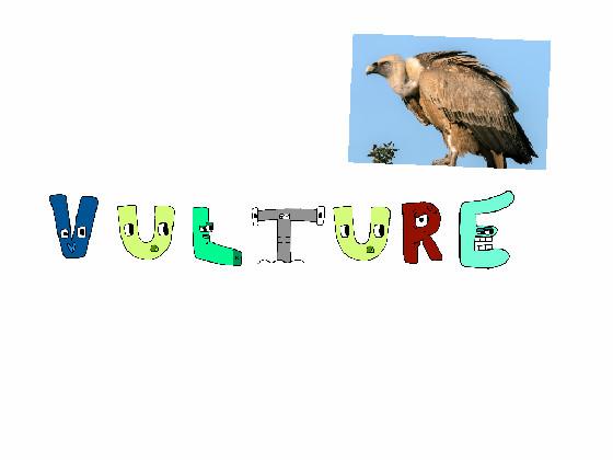 vulture