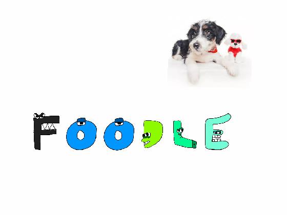 foodle