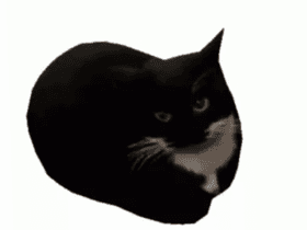 maxwell the cat animated