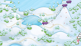 Snow Caves