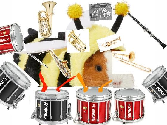 Guinea Pig band 2.0