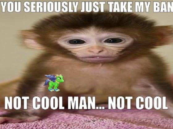 monkey is mad