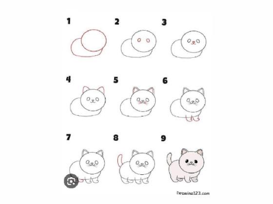 how to draw a cat