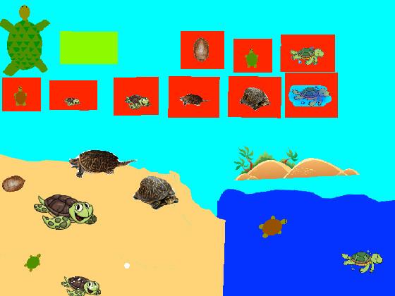 Turtle Clicker!  1