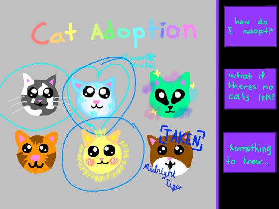 Cat adoption 1 1