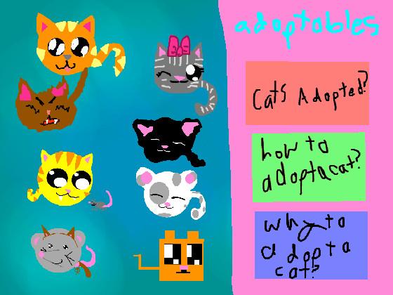 adopt a cat 1 1