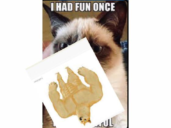 how grumpy cat ended
