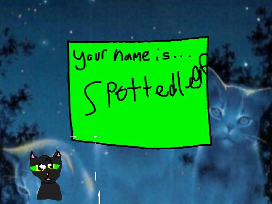 Warrior cat name quiz 1