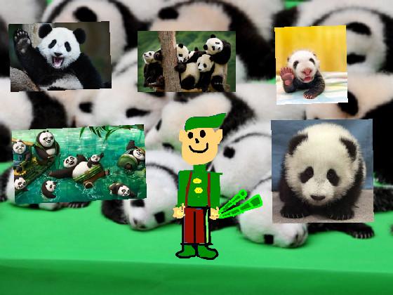 rob the therapist pandas ! 1