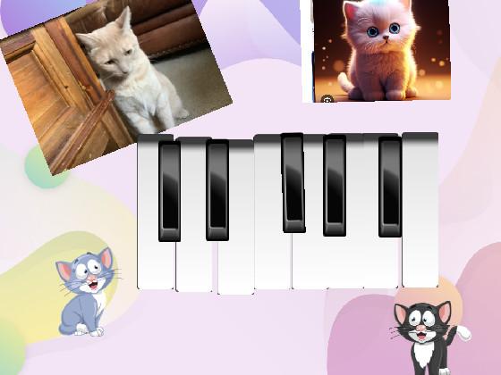 Cat Piano